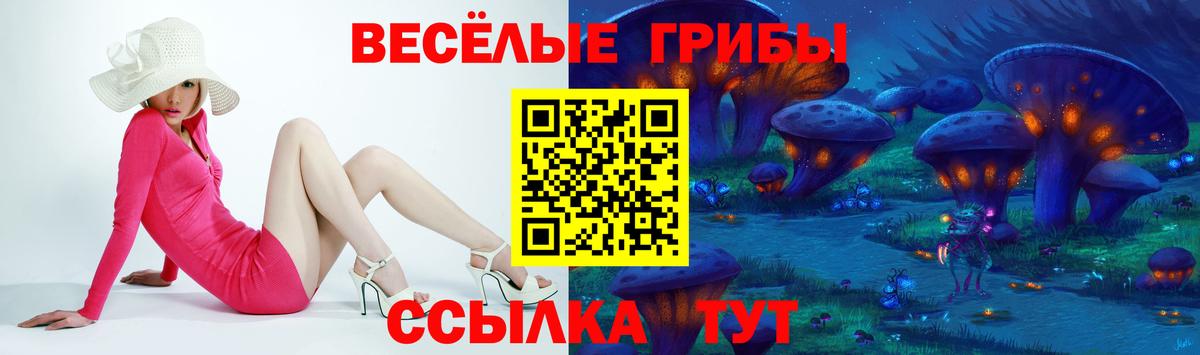 Галлюциногенные грибы прущие грибы  Галлюциногенные грибы прущие грибы  Рассказово  Вход с VPN 
