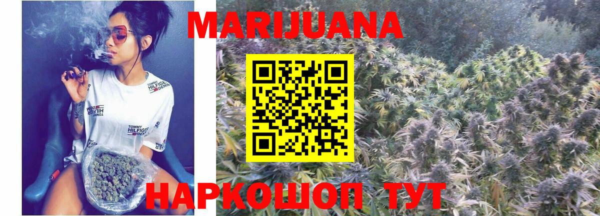 Каннабис OG Kush Рассказово